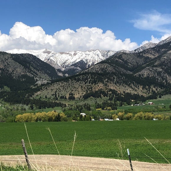 Meet your Posher, Jennifer - Picture 2 of 6